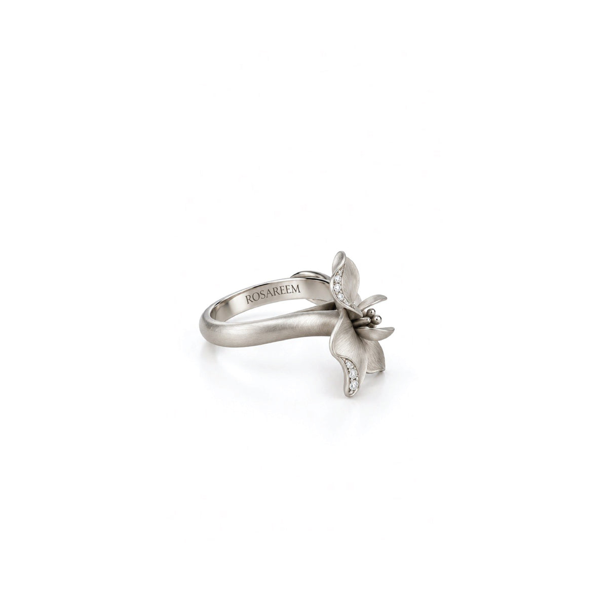 The Bloom Ring