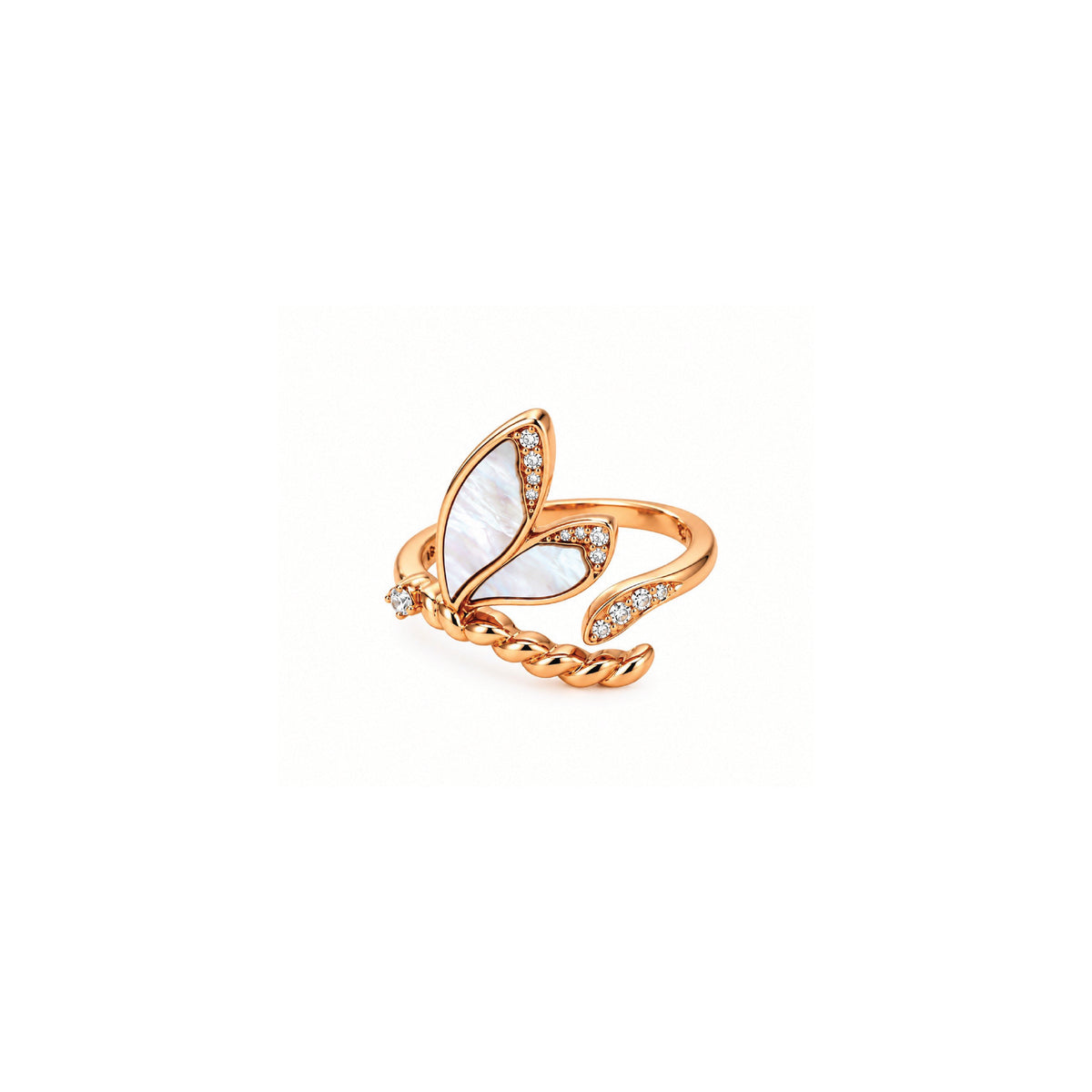 The dragonfly ring
