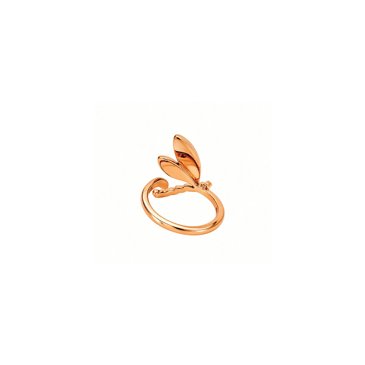 The dragonfly ring