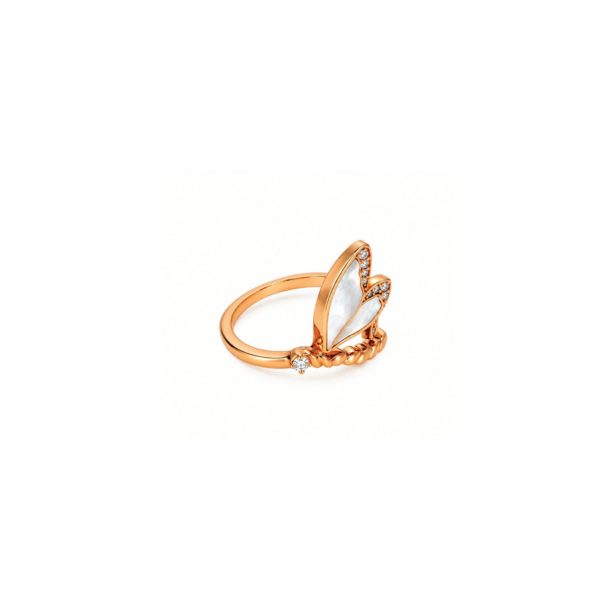 The dragonfly ring