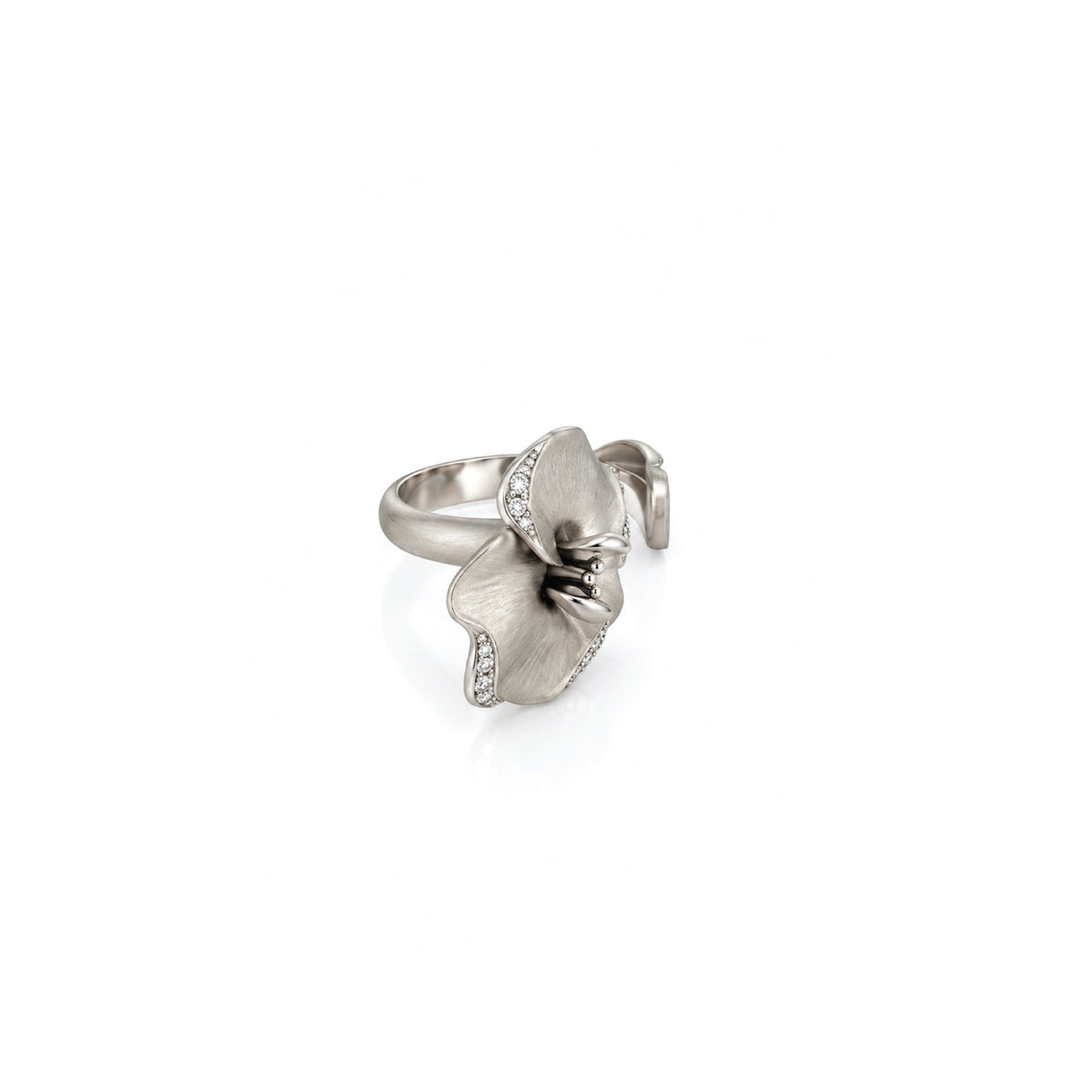The Bloom Ring