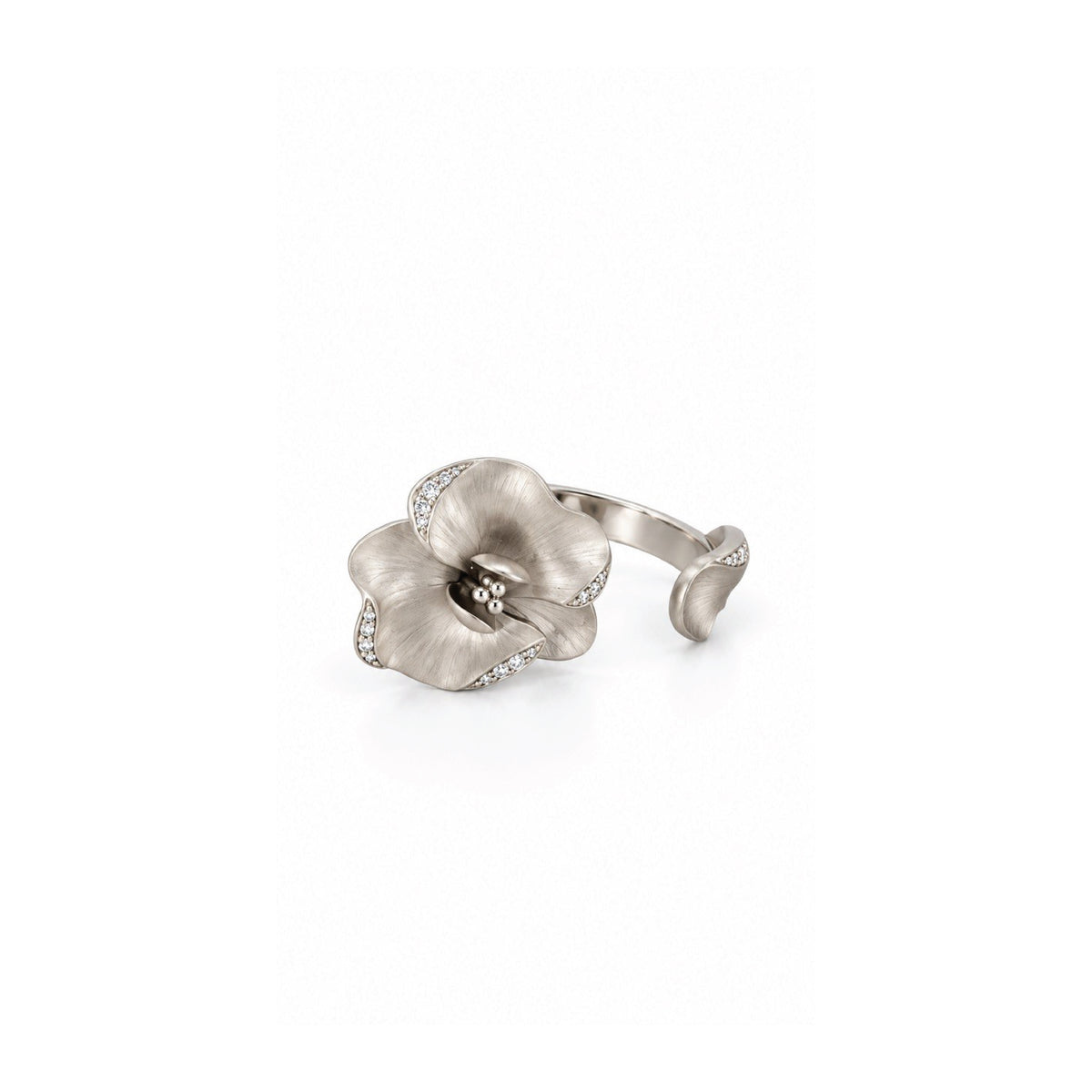 The Bloom Ring