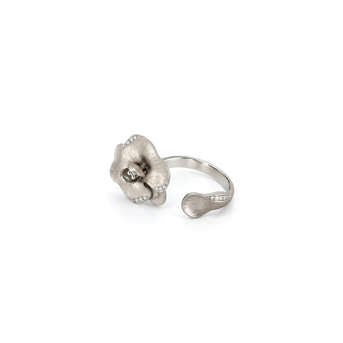 The Bloom Ring